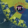 Simple Minds - Belfast Child